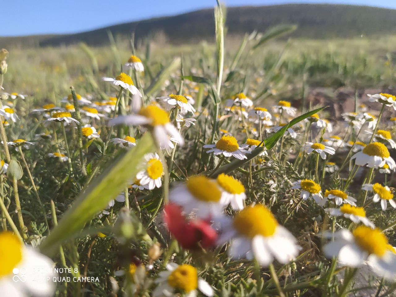 طبیعت باویل