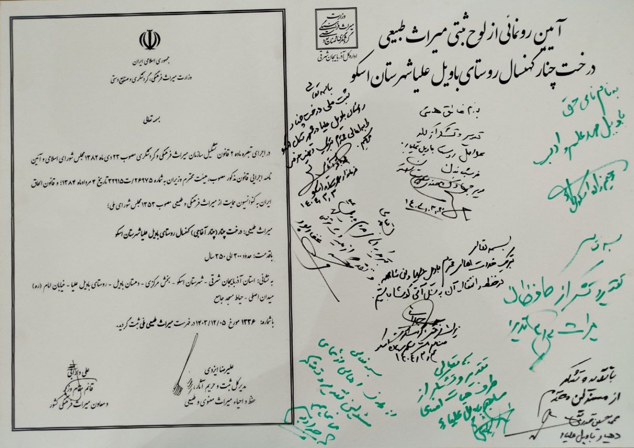 آئین رونمایی از ثبت میراث طبیعی درخت چنار کهنسال روستای باویل علیاء